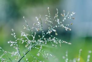 TherapeutIn IMAYA Praxis für Komplementärtherapie