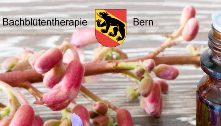 Bachblütentherapie Bern