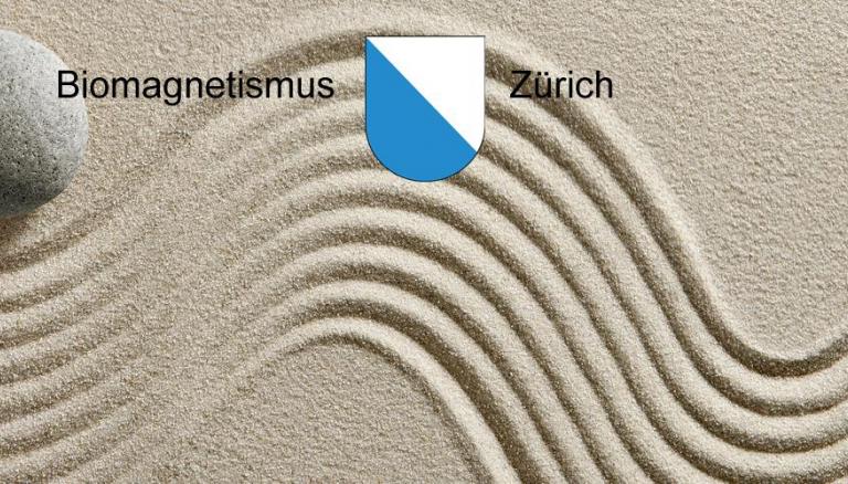 Biomagnetismus Zürich