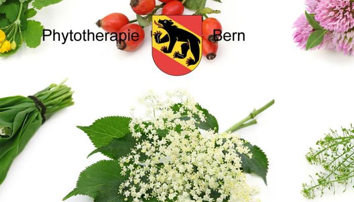 Phytotherapie Bern